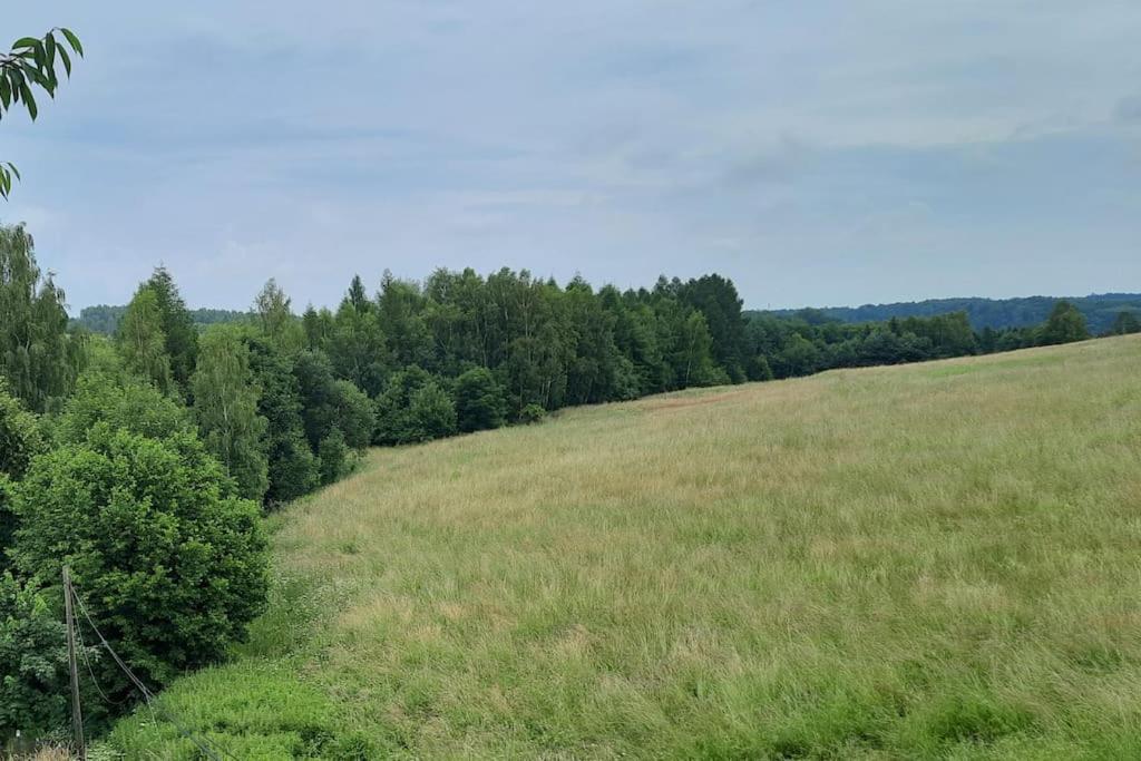 Ojcowski Zakatek-Uroczy Domek Do Wynajecia Apartamento Wola Kalinowska Exterior foto